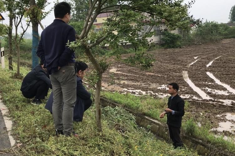 汉寿县：洞庭湖平原腹地的疫情防线与破防时刻_35789