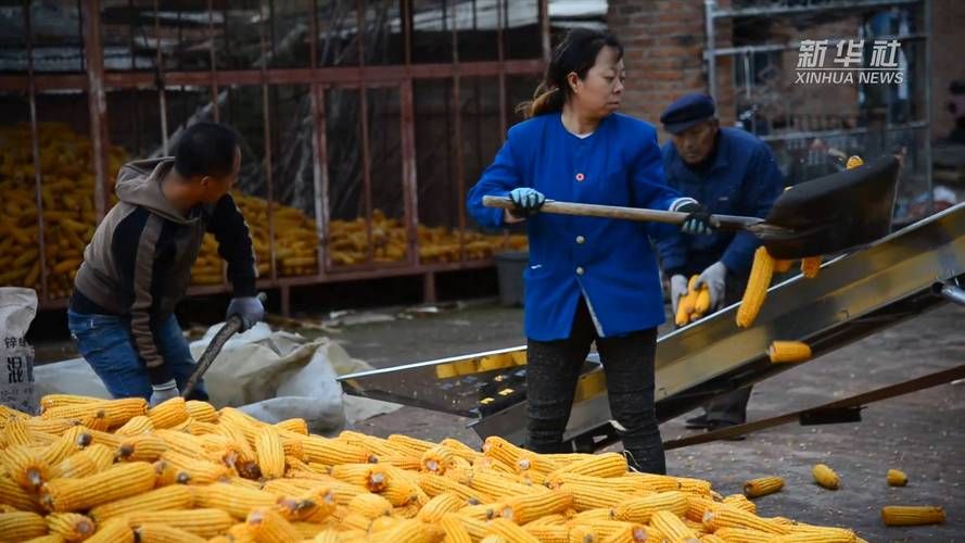 公主岭：东北粮仓的疫情防线与交通枢纽压力