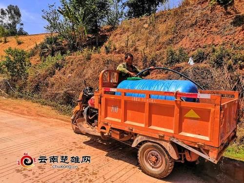 双柏县新增1例无症状感染者  双柏县疫情防控工作最新通报