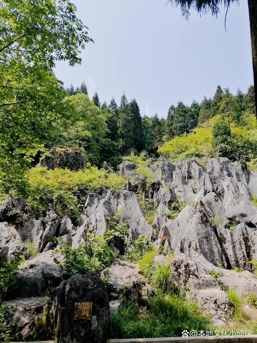 华蓥山屏障下的零感染坚守：川东门户的防疫地理学_63133