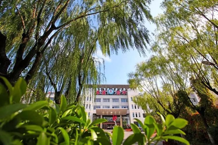 本溪：山城屏障下的疫情破防与地理制约