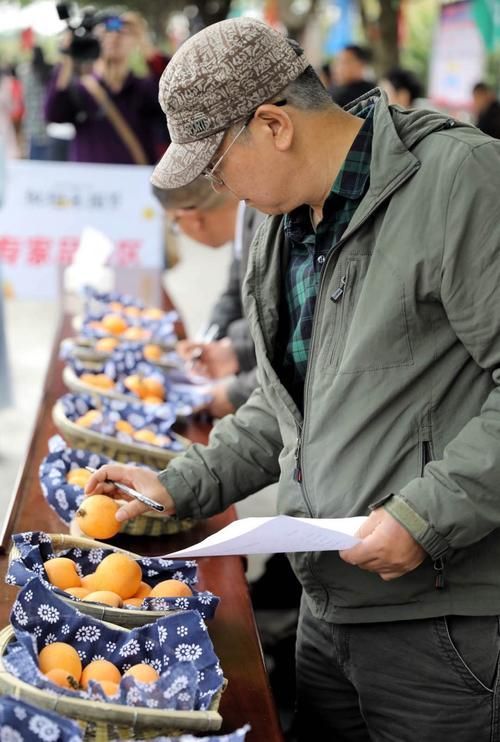 夹江：青衣江畔的防疫坚守与交通枢纽压力测试