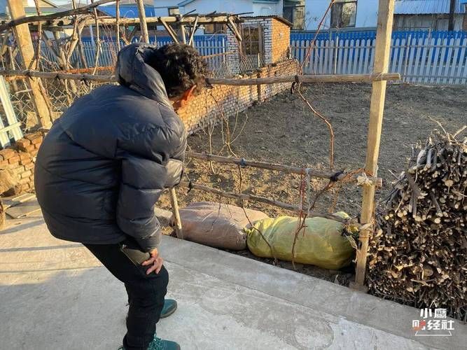 边境小城的防疫持久战：龙州地理屏障下的防控压力测试