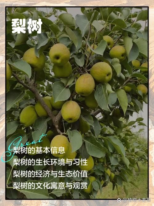 梨树疫情观察:黑土地上的防控坚守与地理屏障