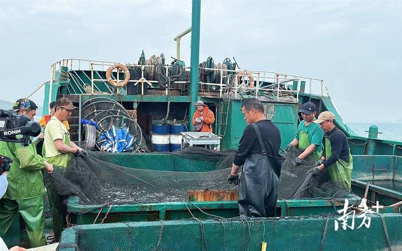 汕尾临海屏障下的疫情破防：红海湾渔港的流调溯源