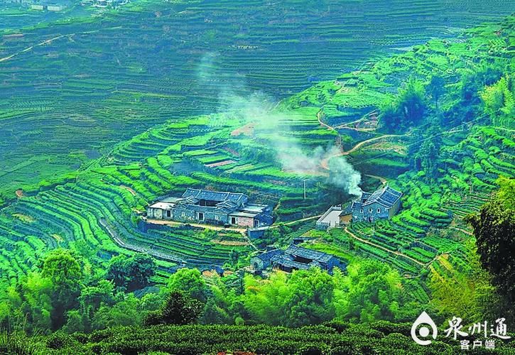 安溪：茶乡地理屏障与疫情数据波动的关联性分析