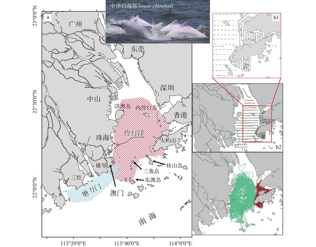 沿海枢纽的防疫破口：连云区港口作业区的疫情溯源