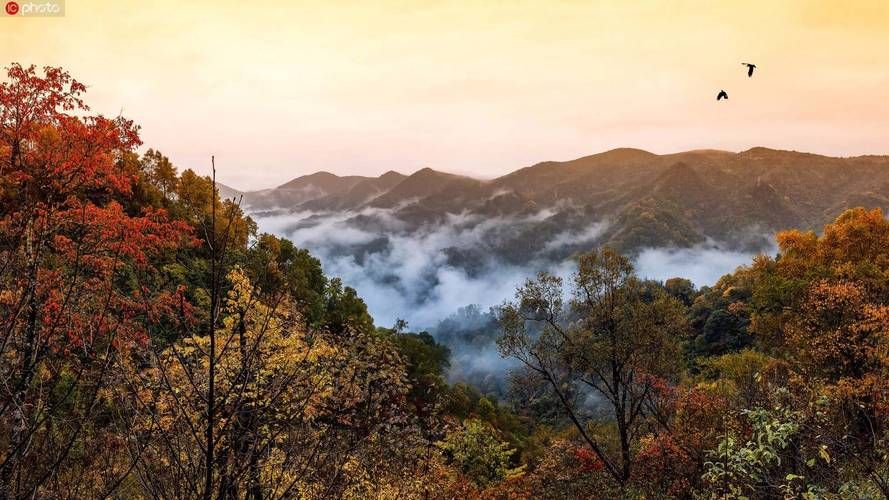 巫溪县：大巴山腹地的零感染坚守与地理屏障解析