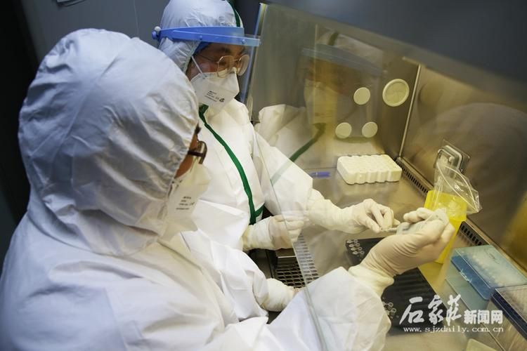 乐都：湟水河谷的防疫坚守与零感染破防