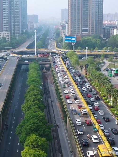 新市区：交通动脉上的疫情阻击战