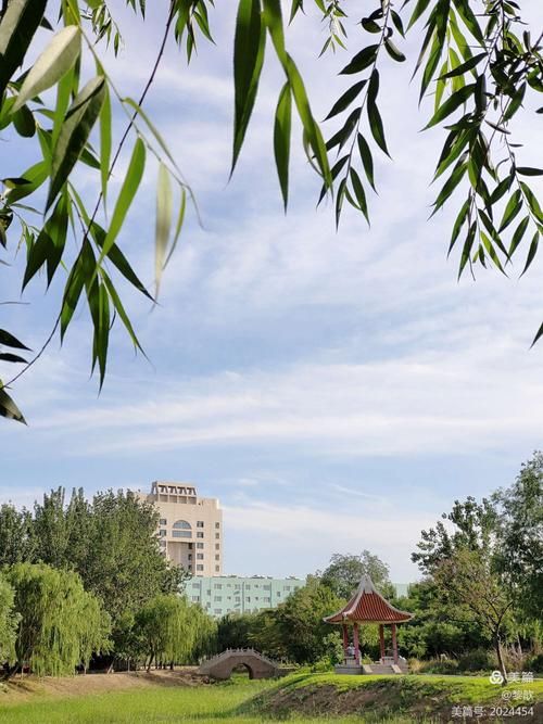 庆云：鲁北平原的县域防疫样本解析