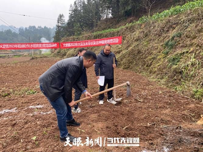 习水新增1例无症状感染者  习水县疫情防控最新通报_58278