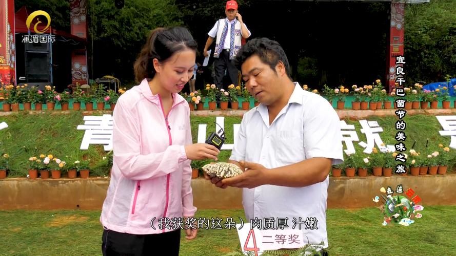 宜良:滇中粮仓的零感染防线与潜在风险