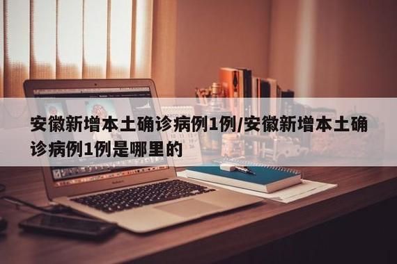 2022年11月25日应城新增确诊病例情况