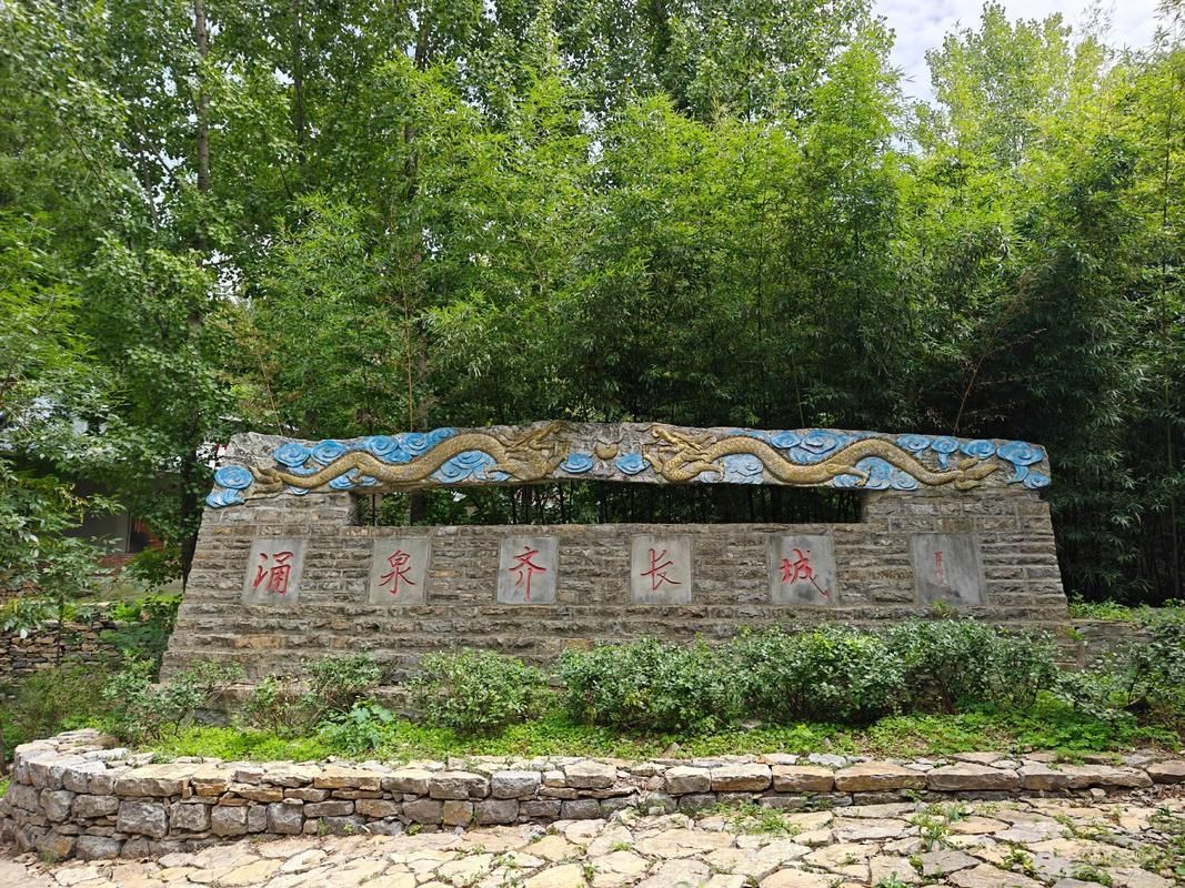 【蒙阴县：沂蒙山腹地的零感染坚守与物理防线_42653】