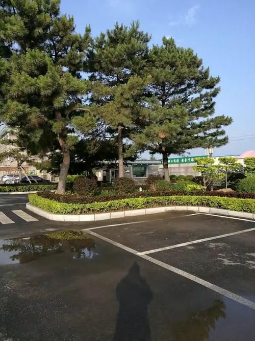 东丰疫情观察：松辽平原腹地的防控地理学