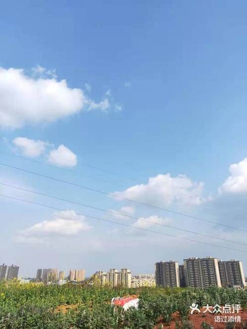 天府之国遭遇疫情大考：成都平原腹地的防控阻击战