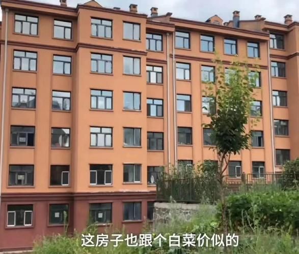 四方台区：寒地黑土上的疫情防线与社区韧性