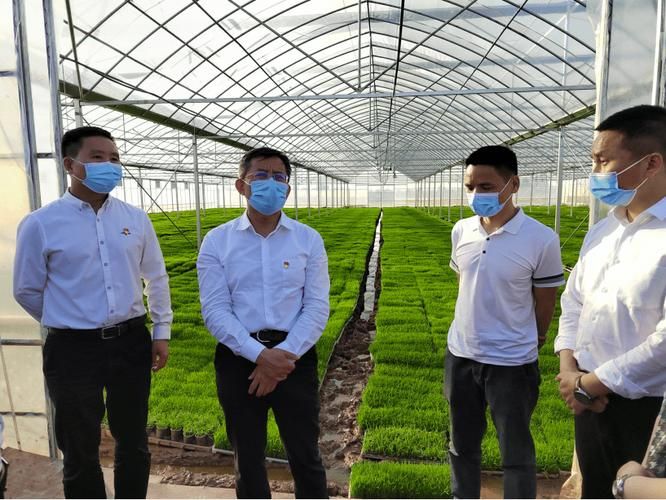 南县疫情观察：洞庭湖平原水网下的防控挑战_45360