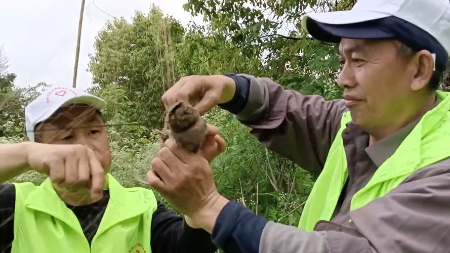 祁阳：湘江畔的防疫坚守与地理屏障下的压力测试