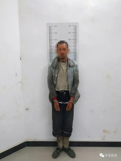 鼎湖区新增1例无症状感染者  鼎湖区疫情防控最新通报_50076