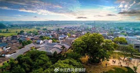 安义古村群：赣北交通节点下的疫情破防与围堵