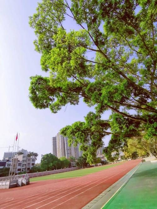 桂平浔江畔的防疫坚守:地理屏障下的清零实践