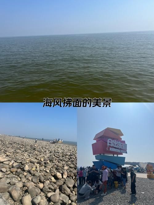 【惠东县：滨海旅游热土与疫情输入的持续角力_46183】