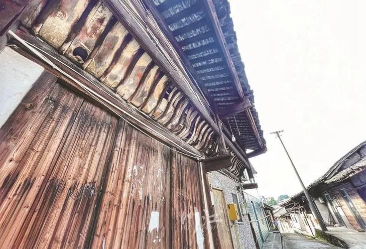 泸州：长江码头与城中村交织下的防疫破局