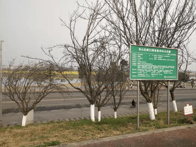 彭山疫情观察：岷江水道与社区网格的攻防纪实