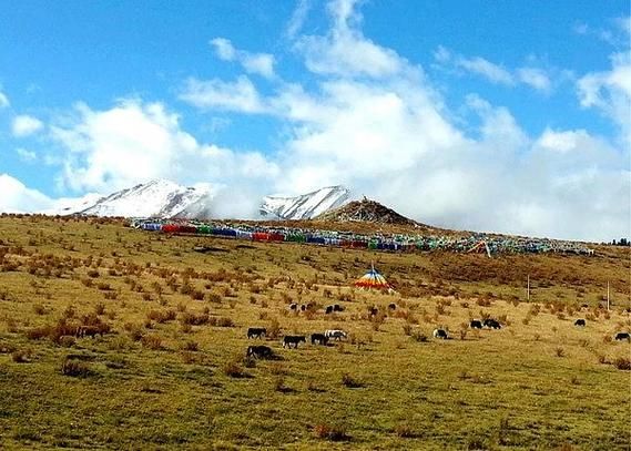 青海达日：高寒牧区如何构筑疫情“绝缘层”？