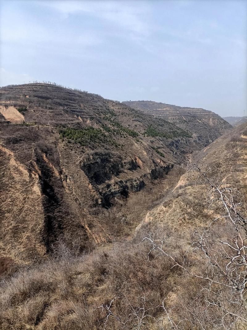 铜川：黄土高原沟壑间的疫情阻隔与防控实践