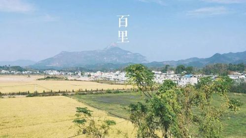 太湖县：大别山腹地的疫情防线与零星破防
