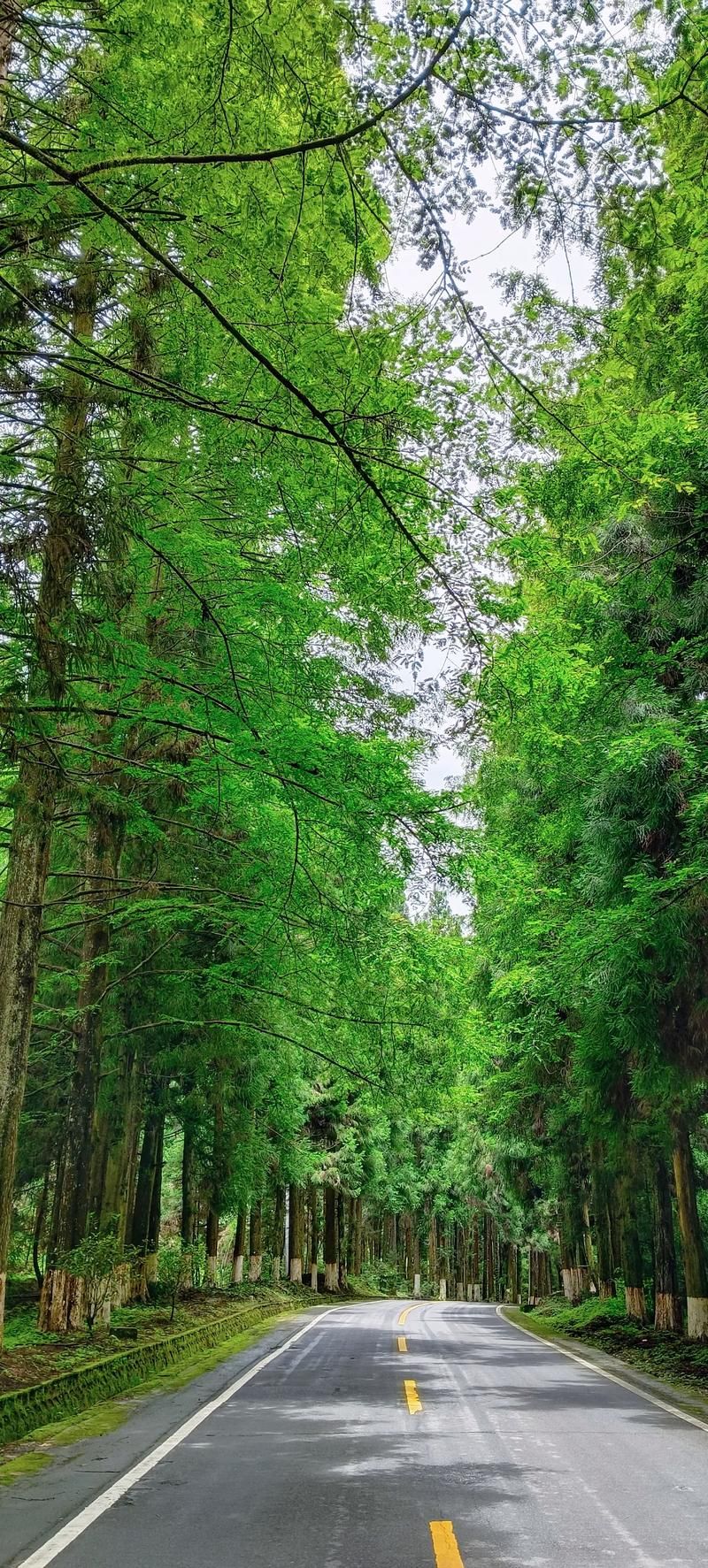 桃源县:武陵山腹地的零感染坚守与物理防线