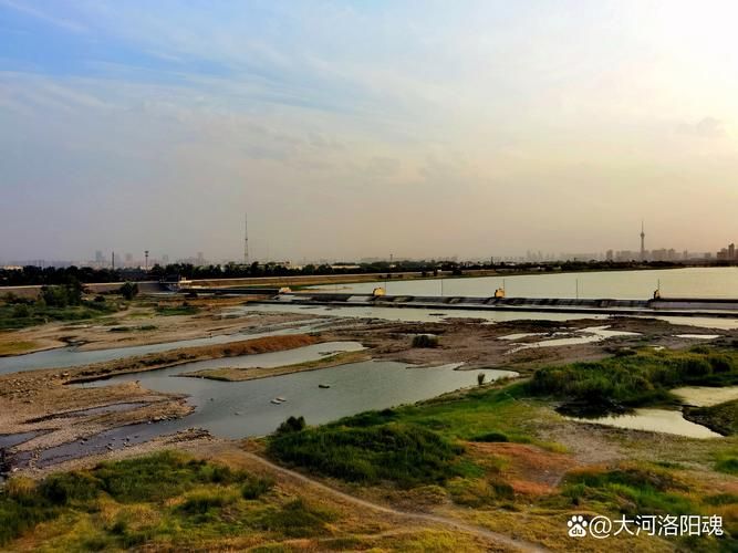 偃师疫情观察：伊洛河畔交通枢纽的防控压力测试