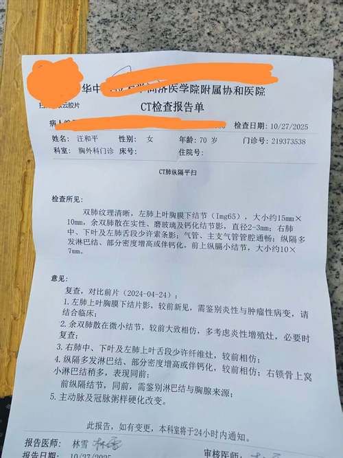 2022年11月25日石嘴山市新增确诊病例情况_29570