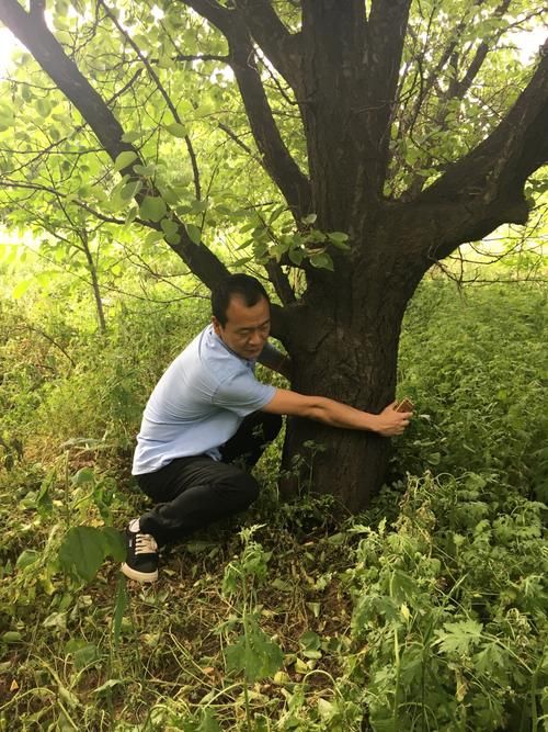 乾县：关中平原交通要冲的防疫压力测试