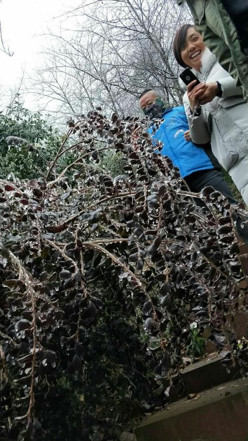 茶陵县：湘东丘陵屏障下的疫情破防与精准围堵