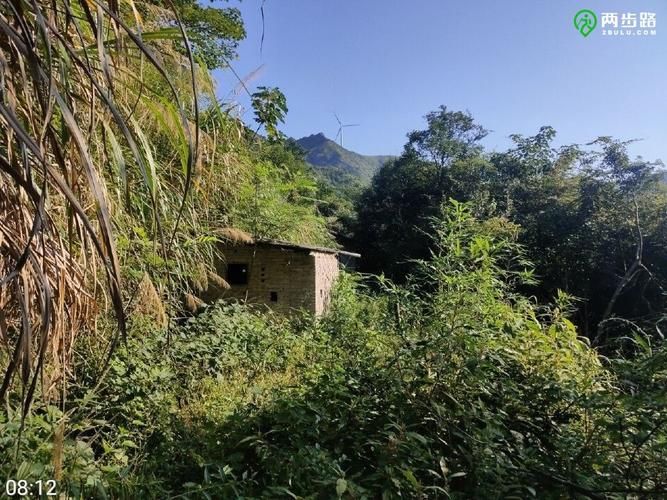 平远：粤东山区屏障下的低感染样本解析