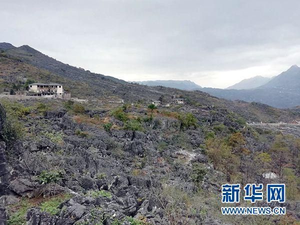 贞丰：喀斯特地貌下的疫情孤岛与防控屏障