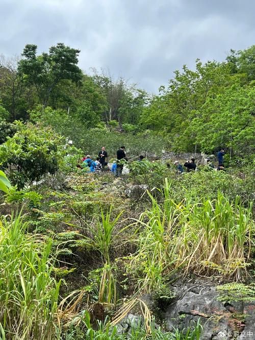 关岭:喀斯特屏障下的低感染样本解析