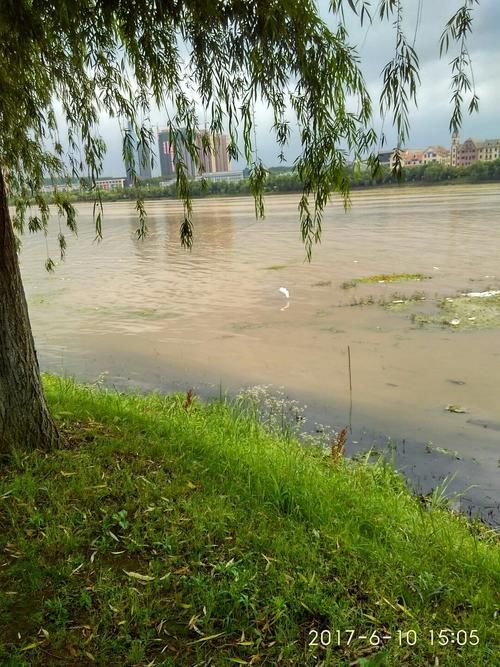 曾都区:随州交通枢纽下的疫情破防与围堵