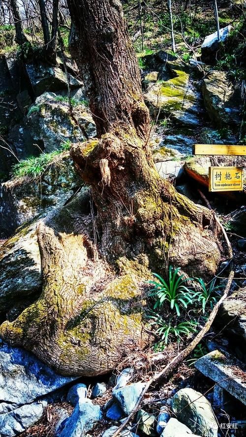 红安:大别山腹地的防疫坚守与零星破防_28302
