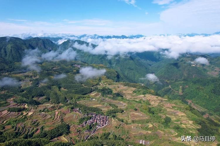 遂昌：浙西南山城屏障下的零感染坚守_56134