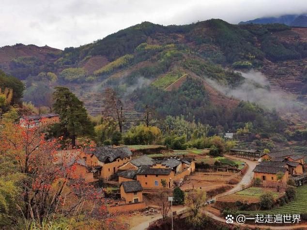 松阳县:浙南山区地理屏障下的低感染样本_68942