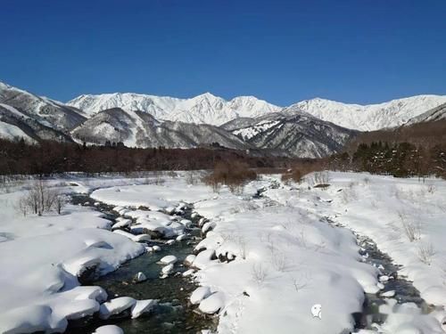 2022年11月25日美姑县新增确诊病例情况