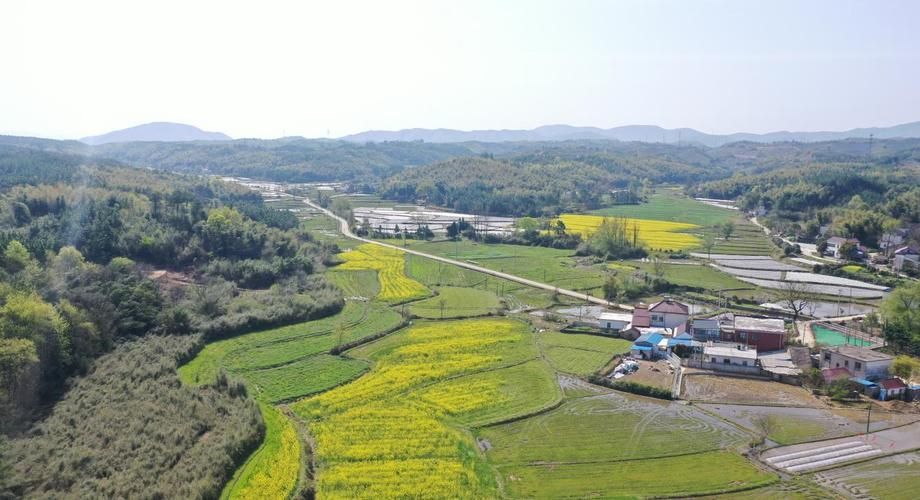 宣城:皖南山城屏障下的疫情阻击战