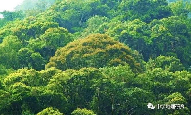 鄄城防疫观察：鲁西平原上的零感染坚守与地理屏障