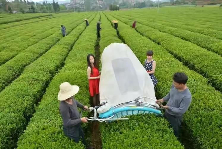 邵东:湘中咽喉的疫情防线与破防时刻