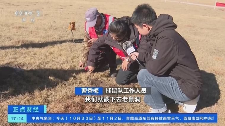 永登县疫情观察：高原屏障下的防控实践